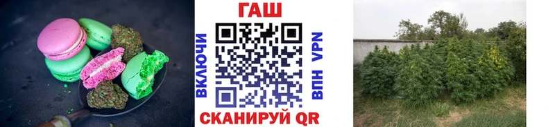 Canna-Cookies марихуана  OMG вход  Калач-на-Дону  сколько стоит 