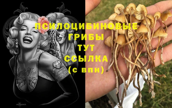 мяу мяу мука Алзамай