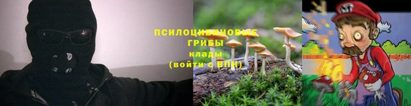 мяу мяу мука Алзамай