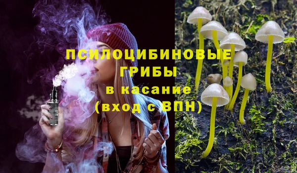 мяу мяу мука Алзамай